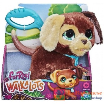 FRR WALKALOTS CAGNOLINO -...