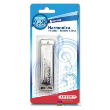 ARMONICA METALLICA CON VOCI IN METALLO A 10 NOTE - 30-1020