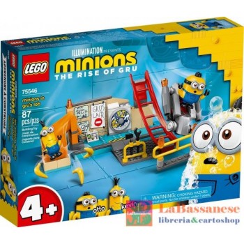 I MINIONS NEL LABORATORIO...