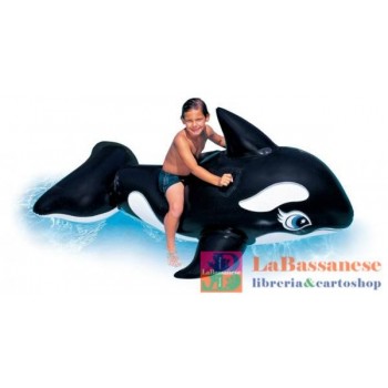CAVALCABILE ORCA CM 193X119...