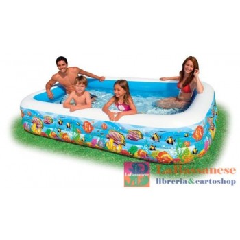 PISCINA FAMILY PESCI CM...